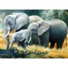 Elephant Family Drinking Water