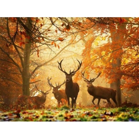 Elks in Autumn Forest - Paint by diamonds