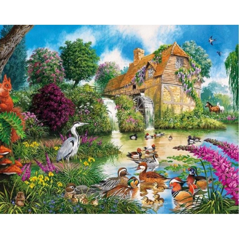 Fauna & Flora - ...