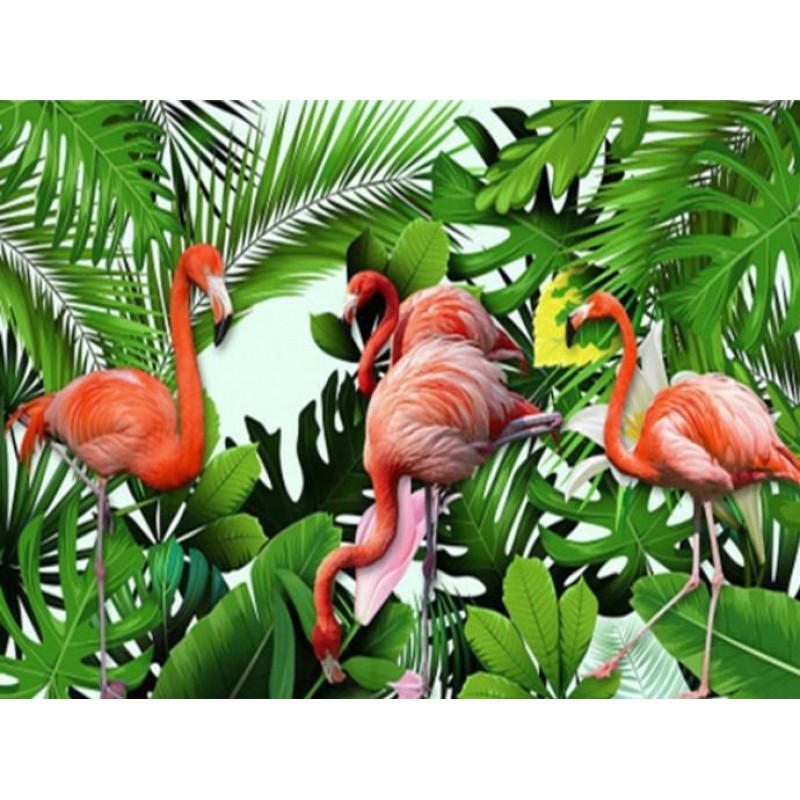 Flamingos & Gree...