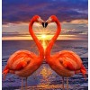 Flamingos Making Heart Shape