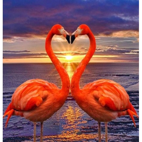 Flamingos Making Heart Shape