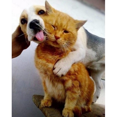Friends Forever - Diamond Painting Kit