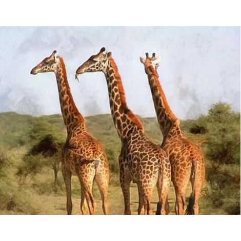 Grazing Giraffes - Paint with Diamonds