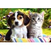 Kitty & Puppy - Diamond Painting Kit
