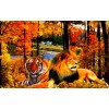 Lion & Tiger in the Forest