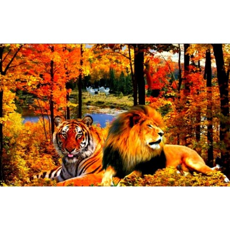 Lion & Tiger in the Forest