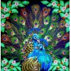 Pretty Peacocks with Wings Spread
