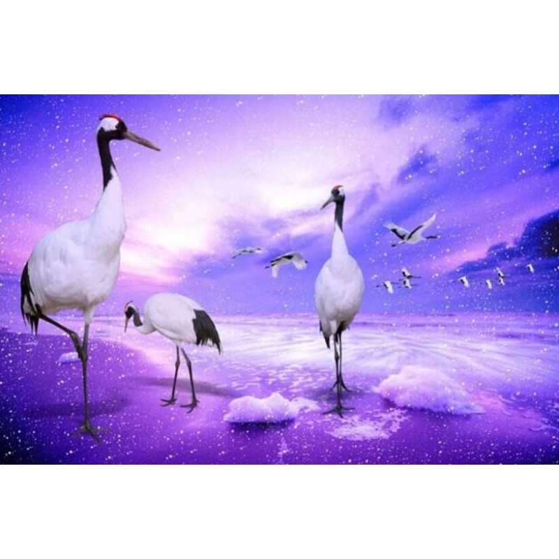 Long Legged Cranes D...