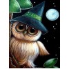 Owl Wearing Hat at Night