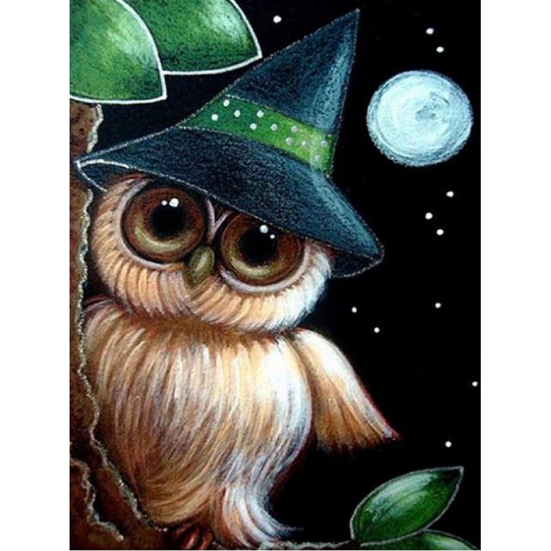 Owl Wearing Hat at N...