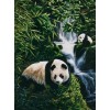 Panda Bears & Beautiful Waterfall