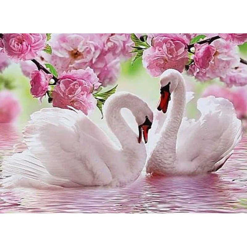 Pink Flowers & S...