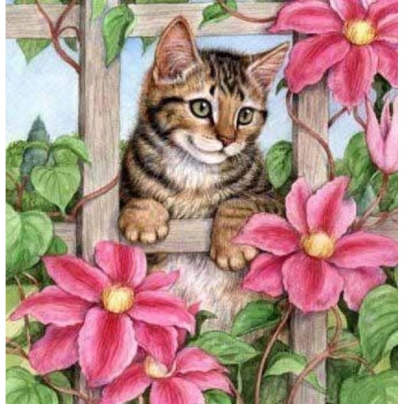 Pink Flowers & S...