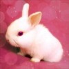 Pink Bunny - Diamond Painting Kit