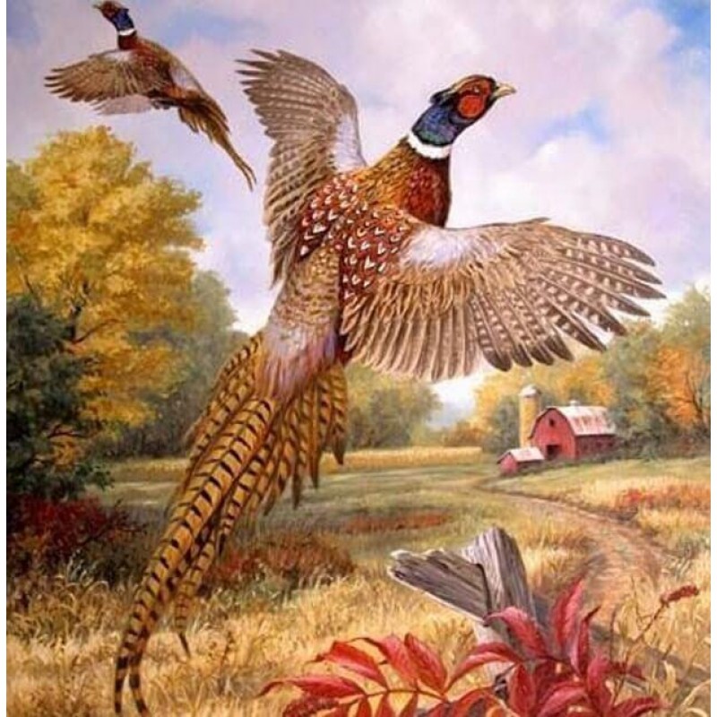 Pheasant Diamond Pai...