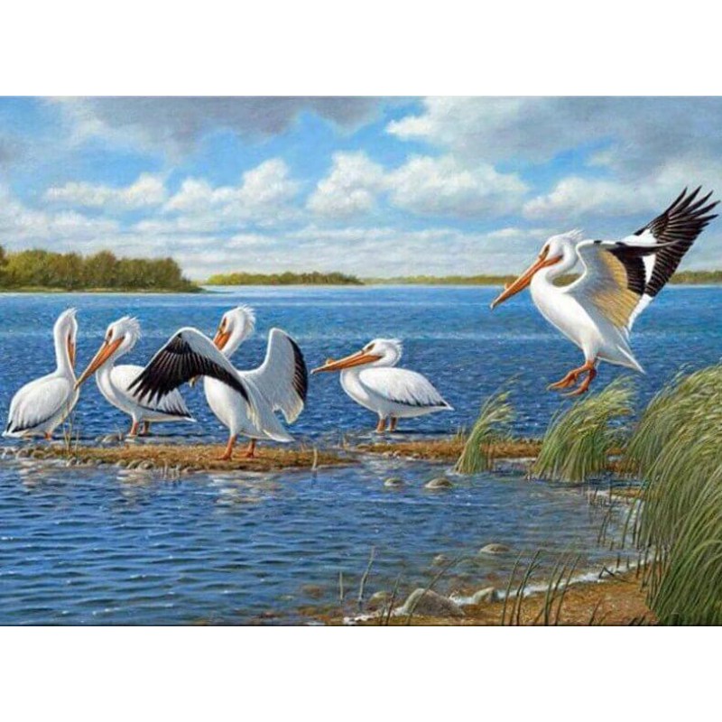 Pelicans Diamond Pai...