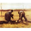 Peasant Character Studies - Vincent van Gogh