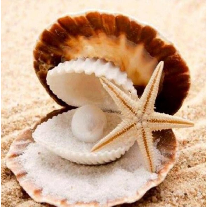 Pearl in the Oyster ...