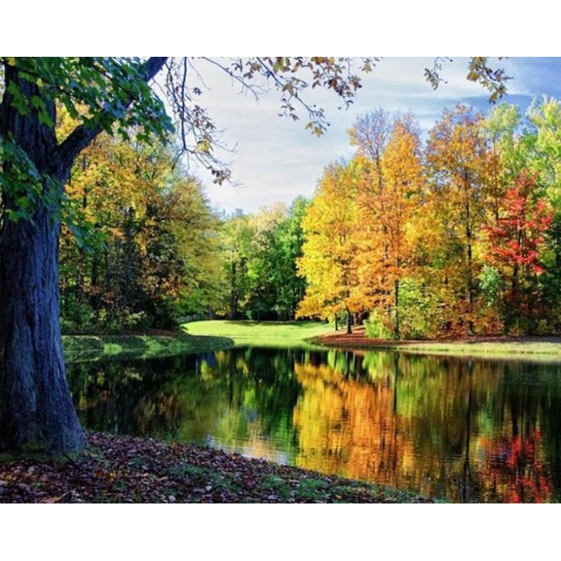 Peaceful View - Diam...