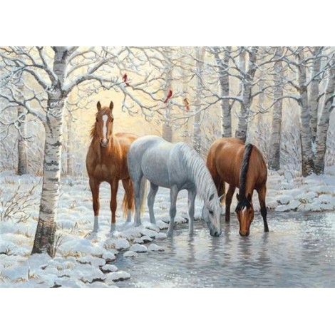 Beautiful Horses in Winter - [USA SHIPPING]
