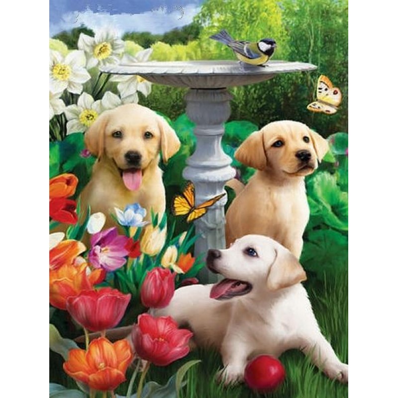 Dog Collection DIY D...