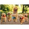 Dog Collection DIY Diamond Paintings