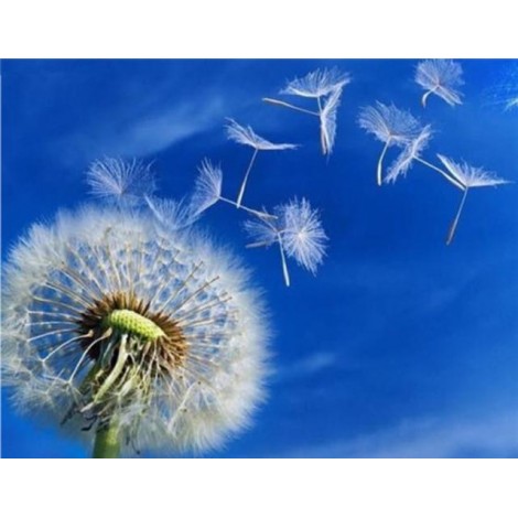 Dandelion Flower  DIY Diamond Paintings
