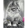 Adorable Cats DIY Diamond Paintings