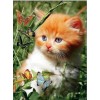 Adorable Cats DIY Diamond Paintings