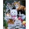 Adorable Cats DIY Diamond Paintings