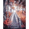 Pathway to Forest