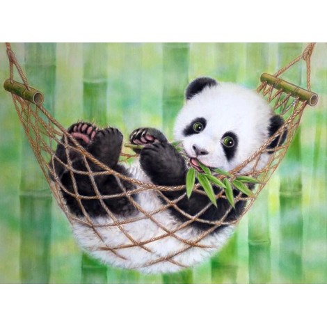 Panda Resting on Hammock