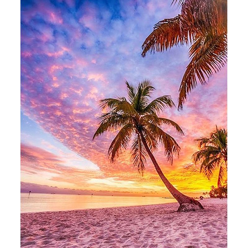 Palm Trees on Beach ...