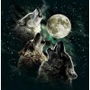 Pack of Howling Wolves