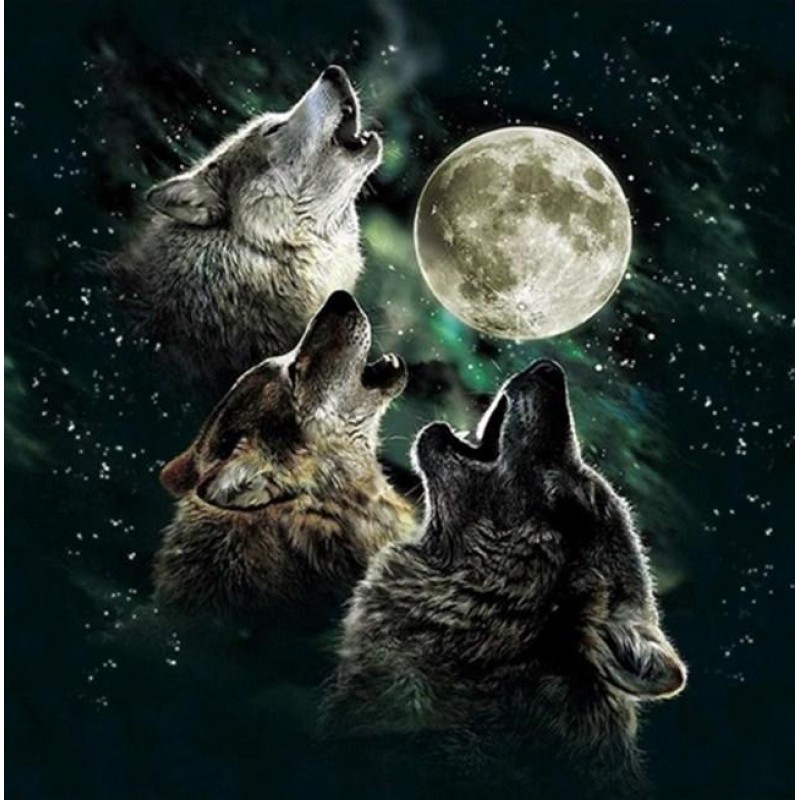 Pack of Howling Wolv...