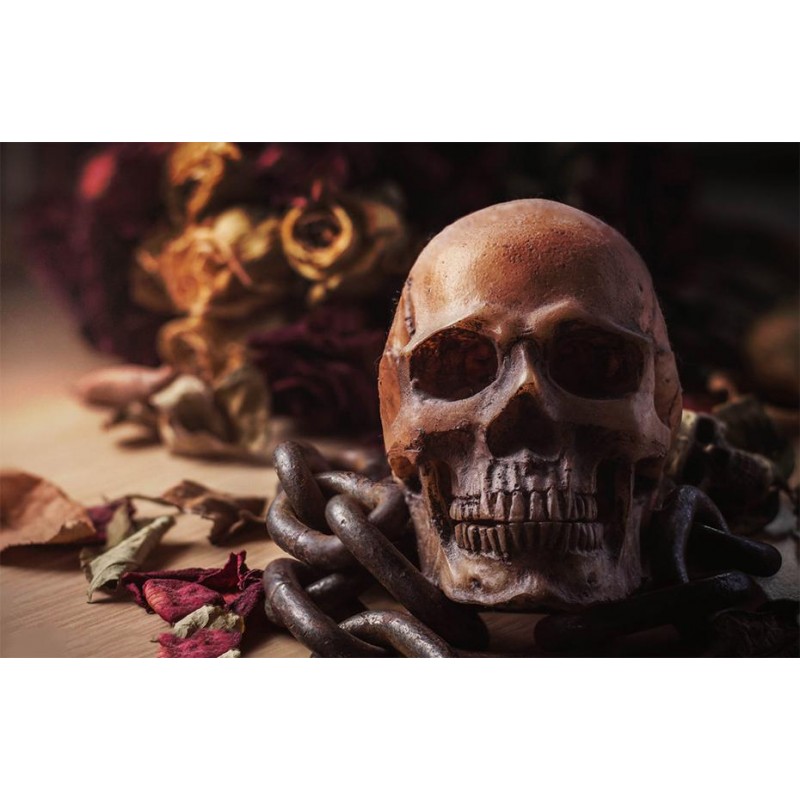 Human Skull DIY Diam...