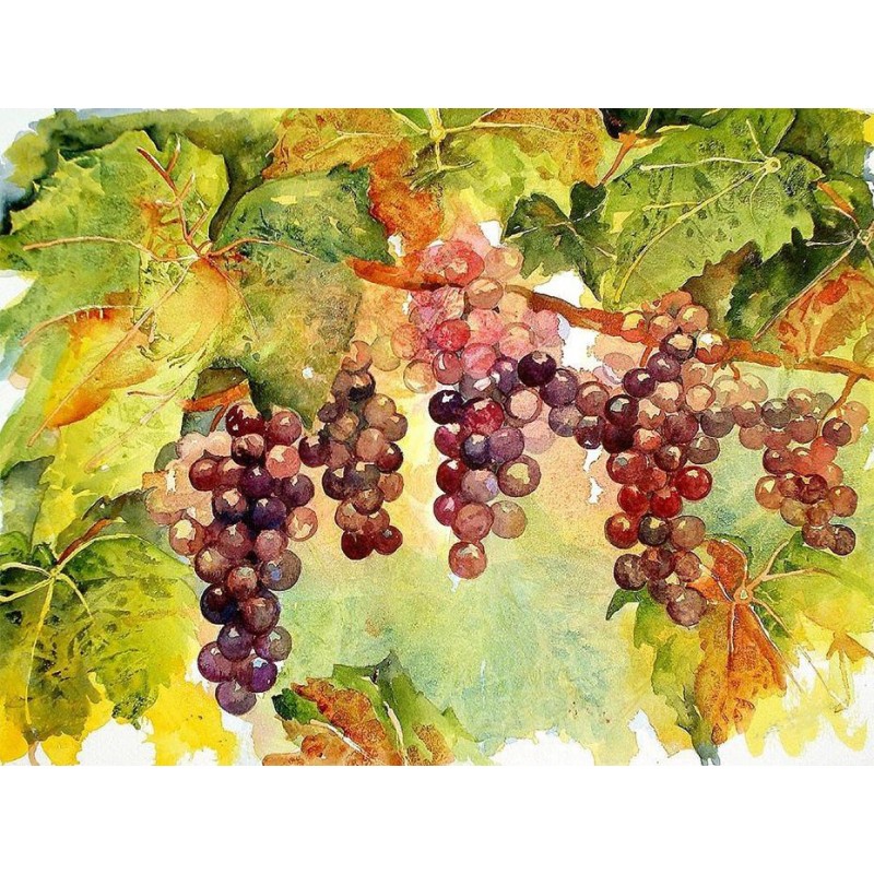 Hanging Grapes DIY P...