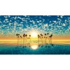 Orange Sunset Clouds In Sky & Palm Trees