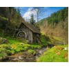 Old Barn by the River