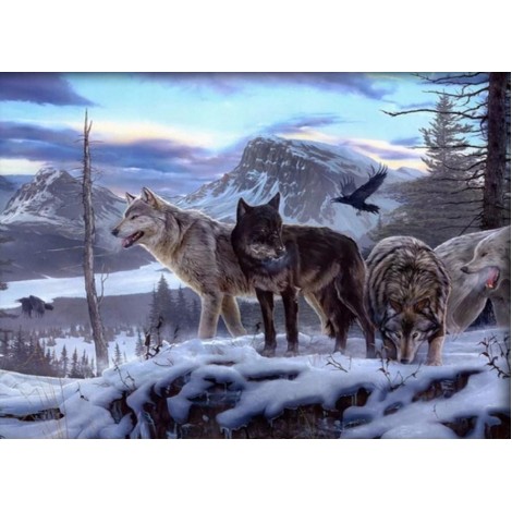 Northern Rocky Mountain wolves