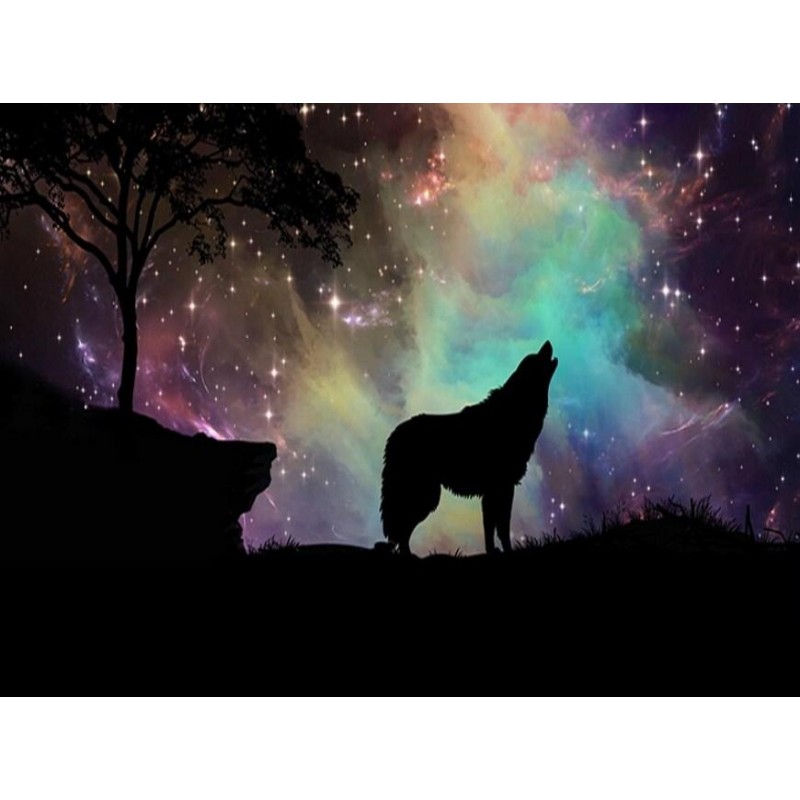 Northern Lights &amp...