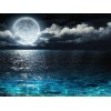Night View Landscape