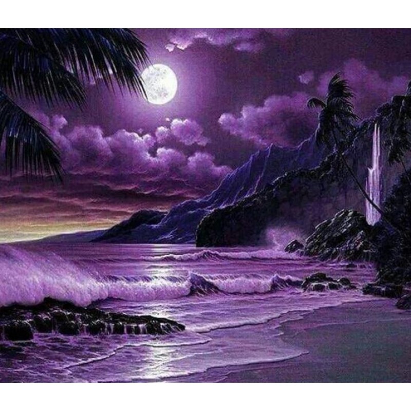 Night Moon & Pur...