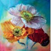 Nice Looking Flowers Diamond Painting