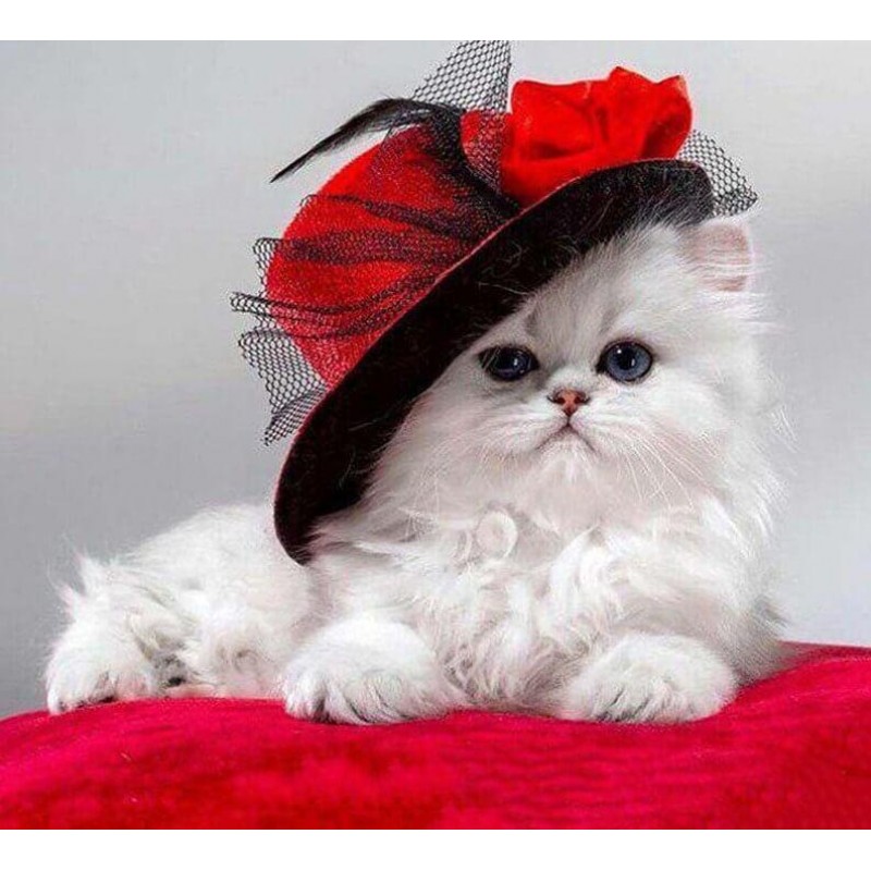 A Classy Cat Paintin...