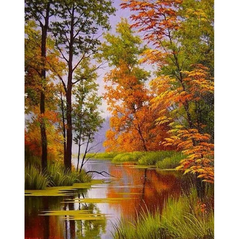 Forest by the Lake