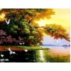 Birds Flying on the Lake