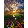 Nature in Heaven