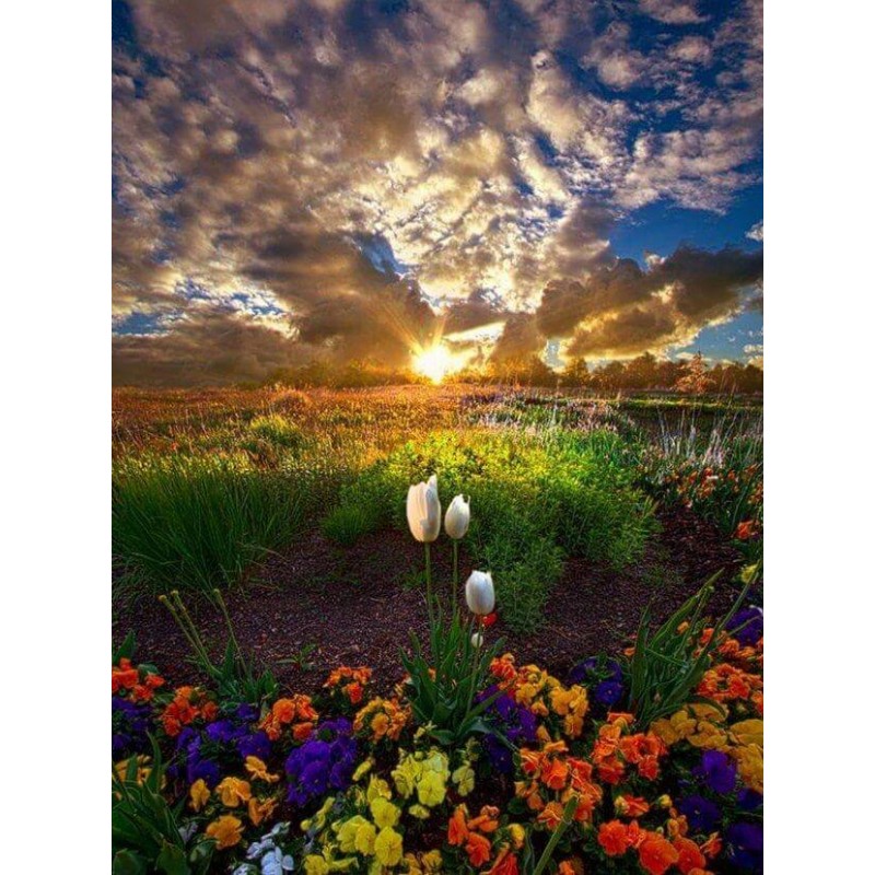 Nature in Heaven